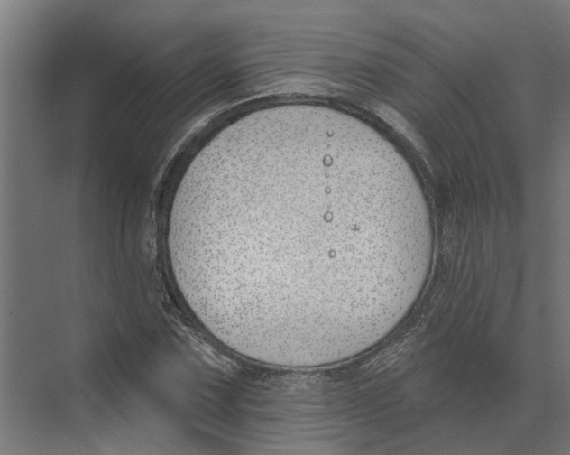 X0000073971067200609111736