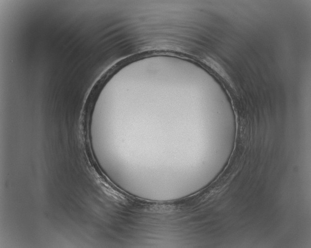 X0000073971068200609111736