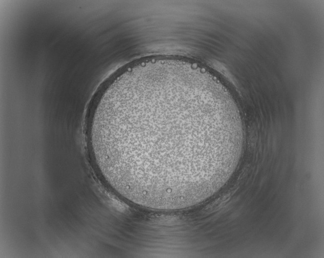 X0000073971071200609111736