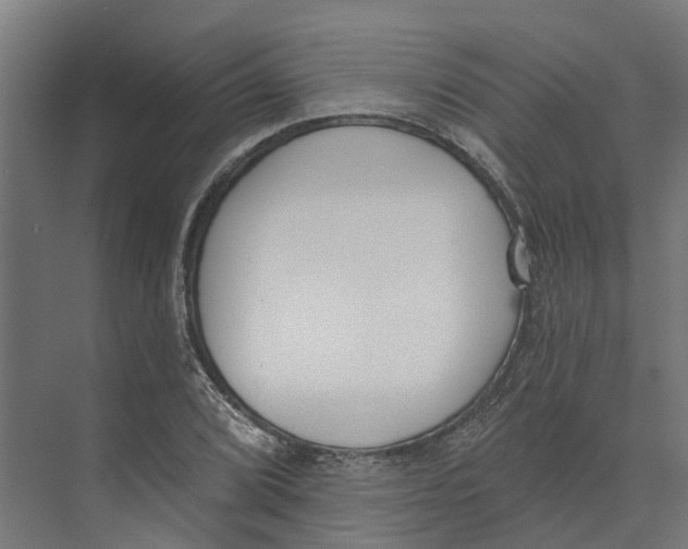 X0000073971072200609111736