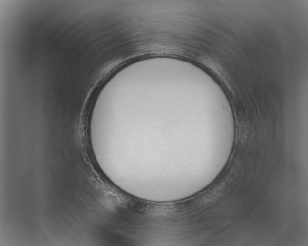 X0000073971074200609111736