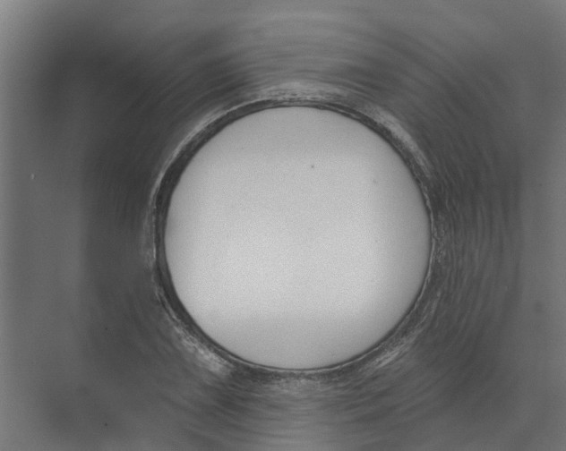 X0000073971075200609111736