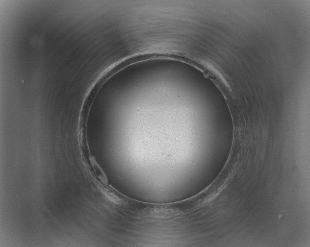 X0000073971077200609111736