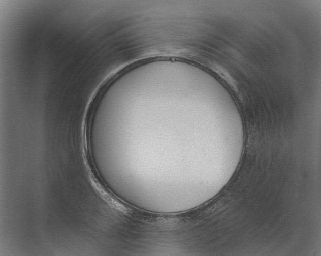 X0000073971080200609111736