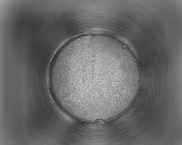 X0000073971083200609111736