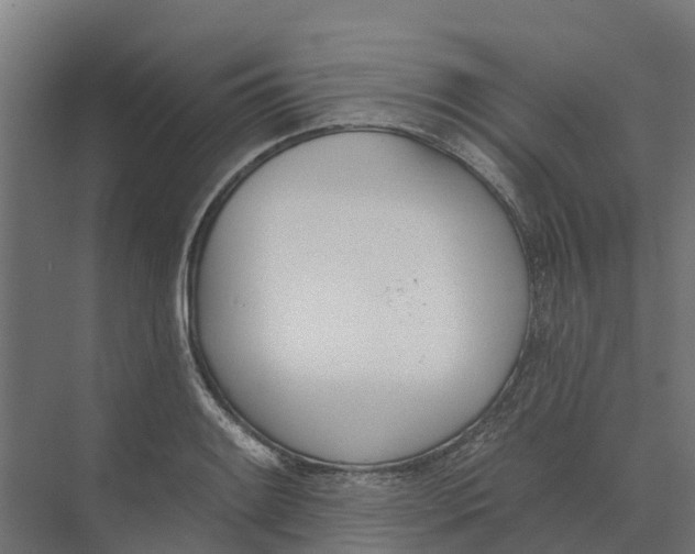 X0000073971084200609111736