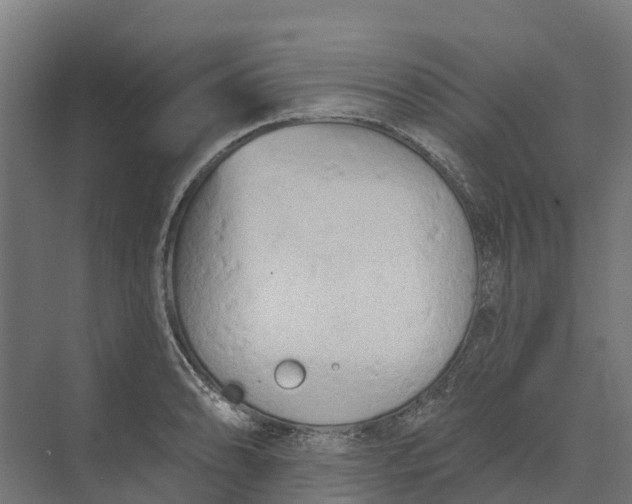 X0000073971086200609111736