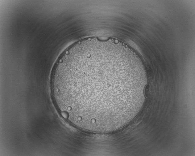 X0000073971087200609111736