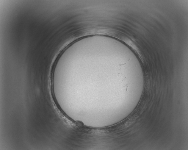 X0000073971088200609111736