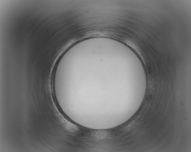 X0000073971090200609111736