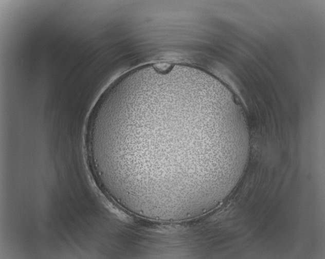 X0000073971091200609111736