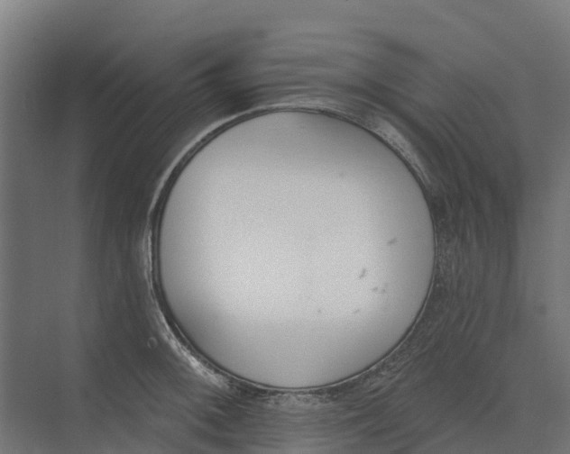 X0000073971092200609111736