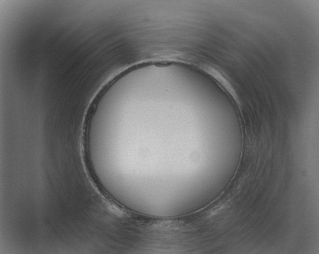 X0000073971093200609111736