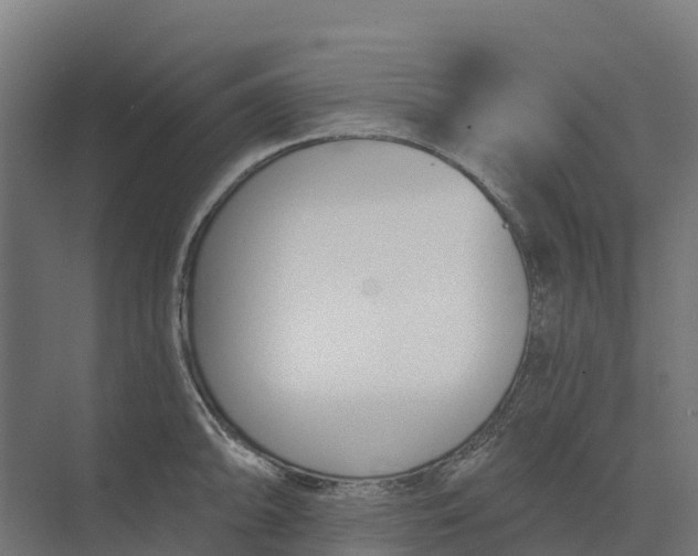 X0000073971094200609111736