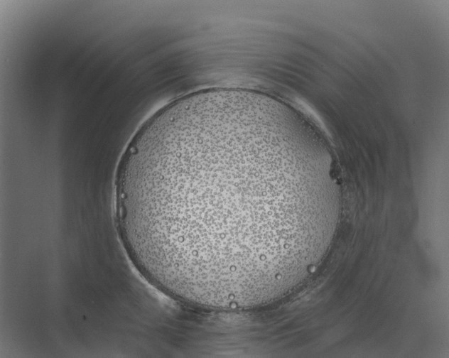 X0000073971095200609111736