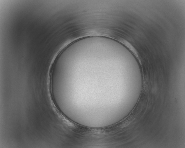 X0000073971096200609111735