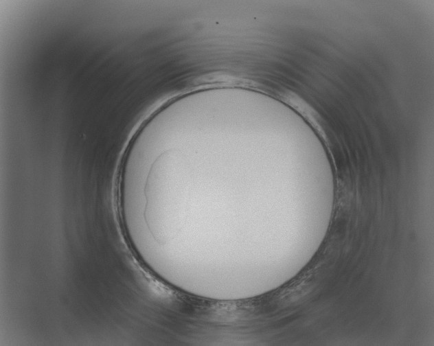 X0000073971098200609111735