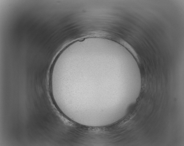 X0000073971099200609111735