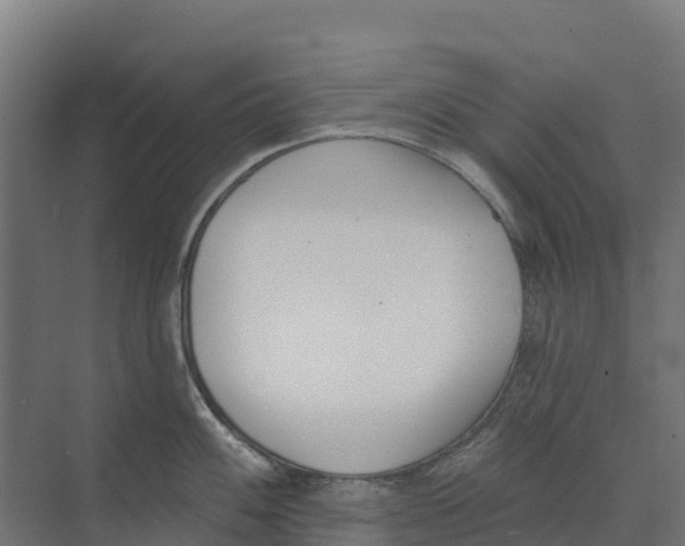 X0000073971100200609111735