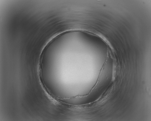 X0000073971101200609111735