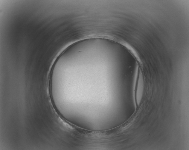 X0000073971102200609111735