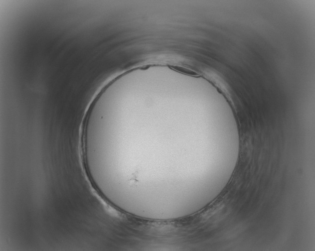 X0000073971103200609111735