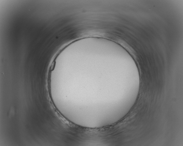 X0000073971104200609111735