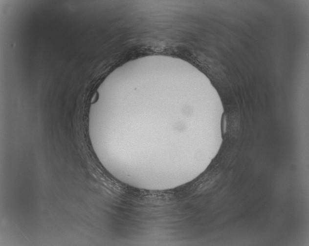 X0000073971105200609111735