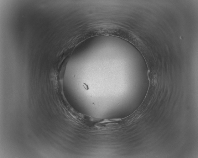 X0000073971108200609111735