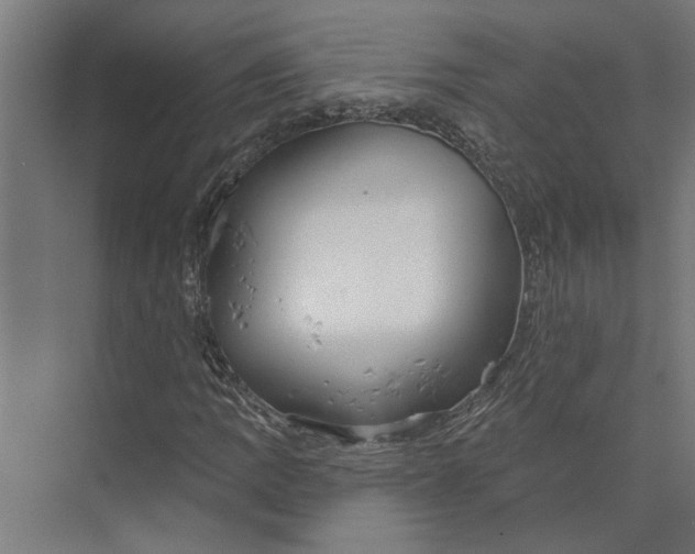 X0000073971109200609111735