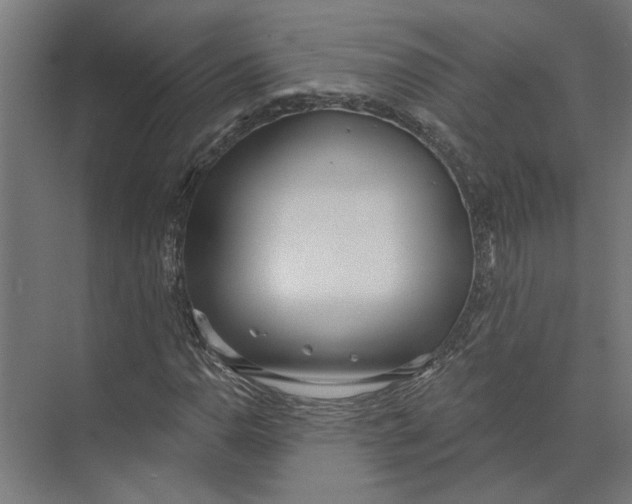 X0000073971110200609111735