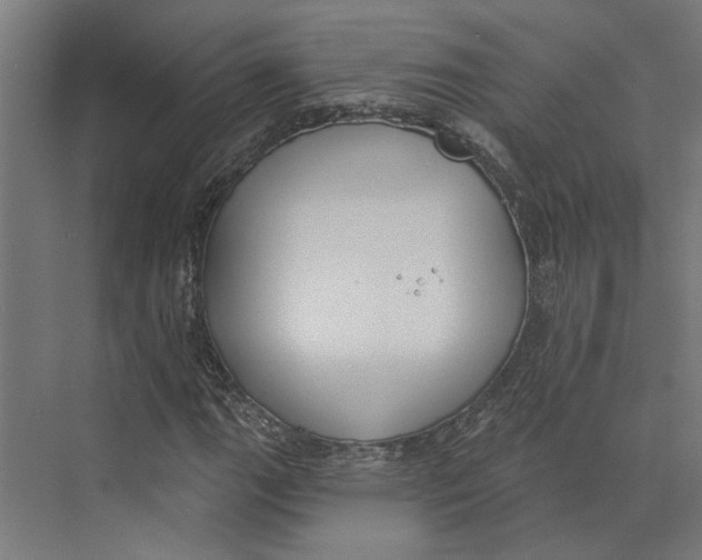 X0000073971111200609111735