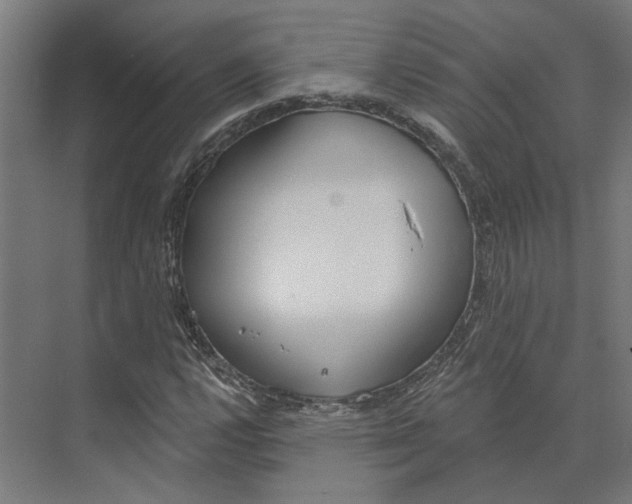 X0000073971112200609111735