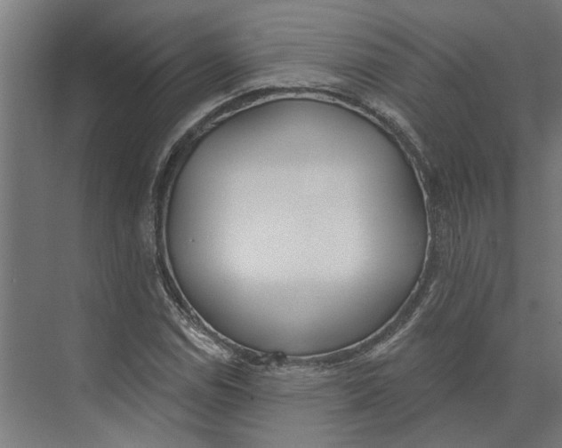 X0000073971114200609111735