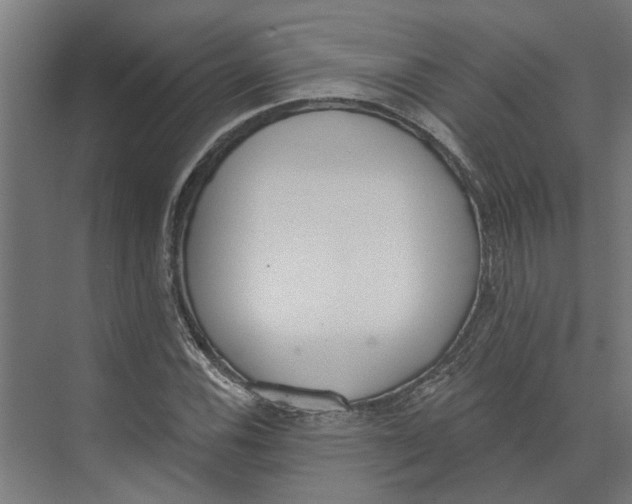 X0000073971116200609111735