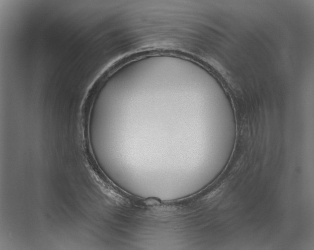 X0000073971118200609111735