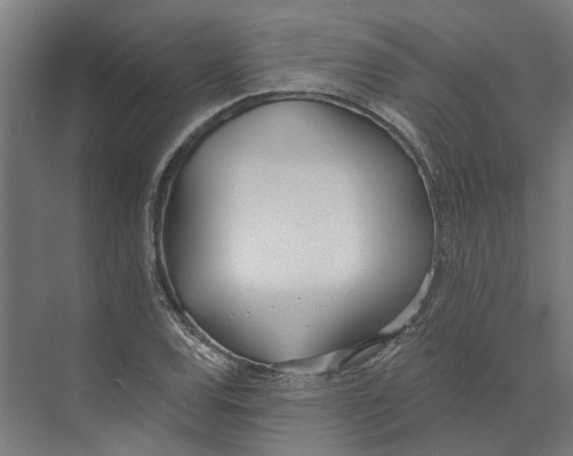 X0000073971120200609111735