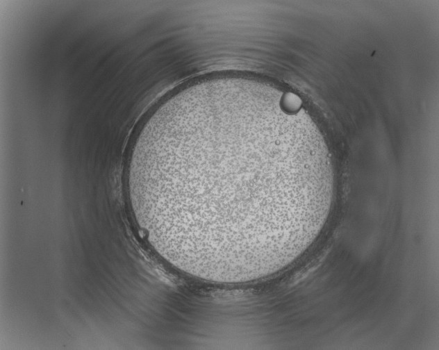 X0000073971121200609111735