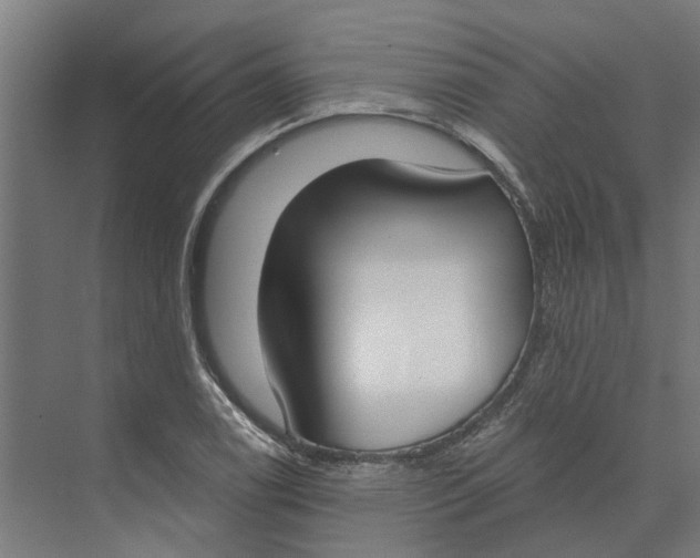 X0000073971122200609111735