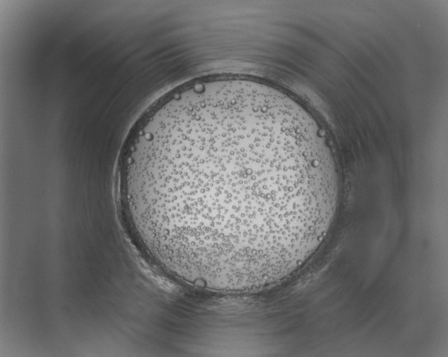 X0000073971125200609111735