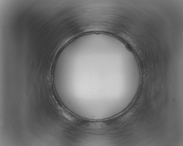 X0000073971129200609111735