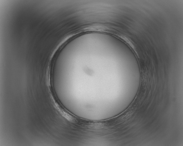 X0000073971131200609111735