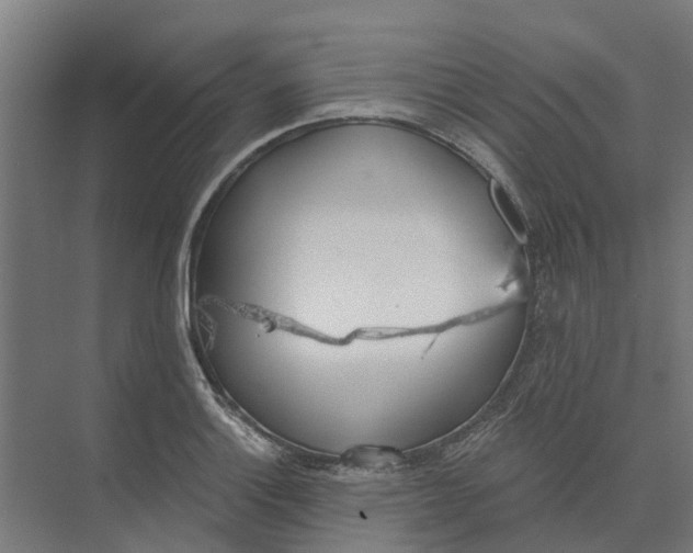 X0000073971132200609111735