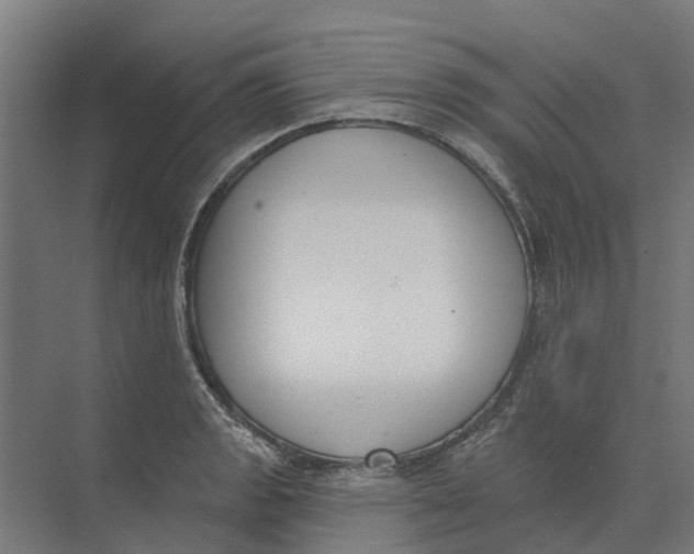 X0000073971133200609111735