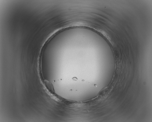 X0000073971134200609111735