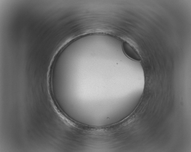 X0000073971135200609111735