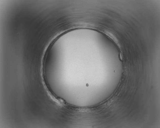 X0000073971136200609111735