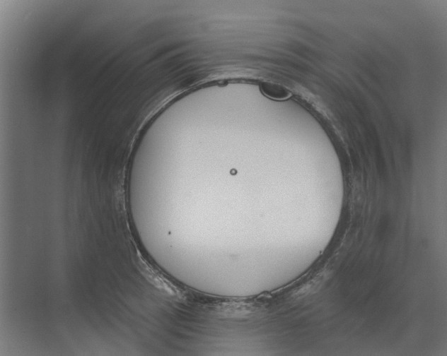 X0000073971137200609111735