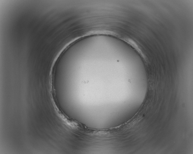 X0000073971140200609111735