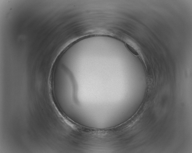 X0000073971141200609111735